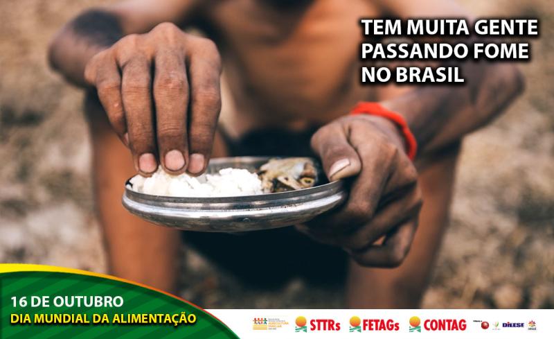 O acesso à “Comida de verdade” e o combate à pobreza do campo à