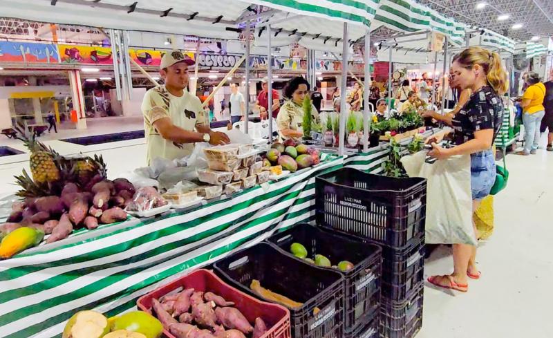 Assembleia Legislativa do Estado do Maranhão - Carlos Lula destaca a  importância da agricultura familiar no Maranhão